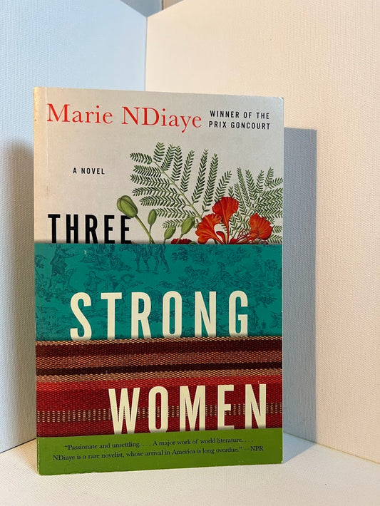 Three Strong Women by Marie NDiaye