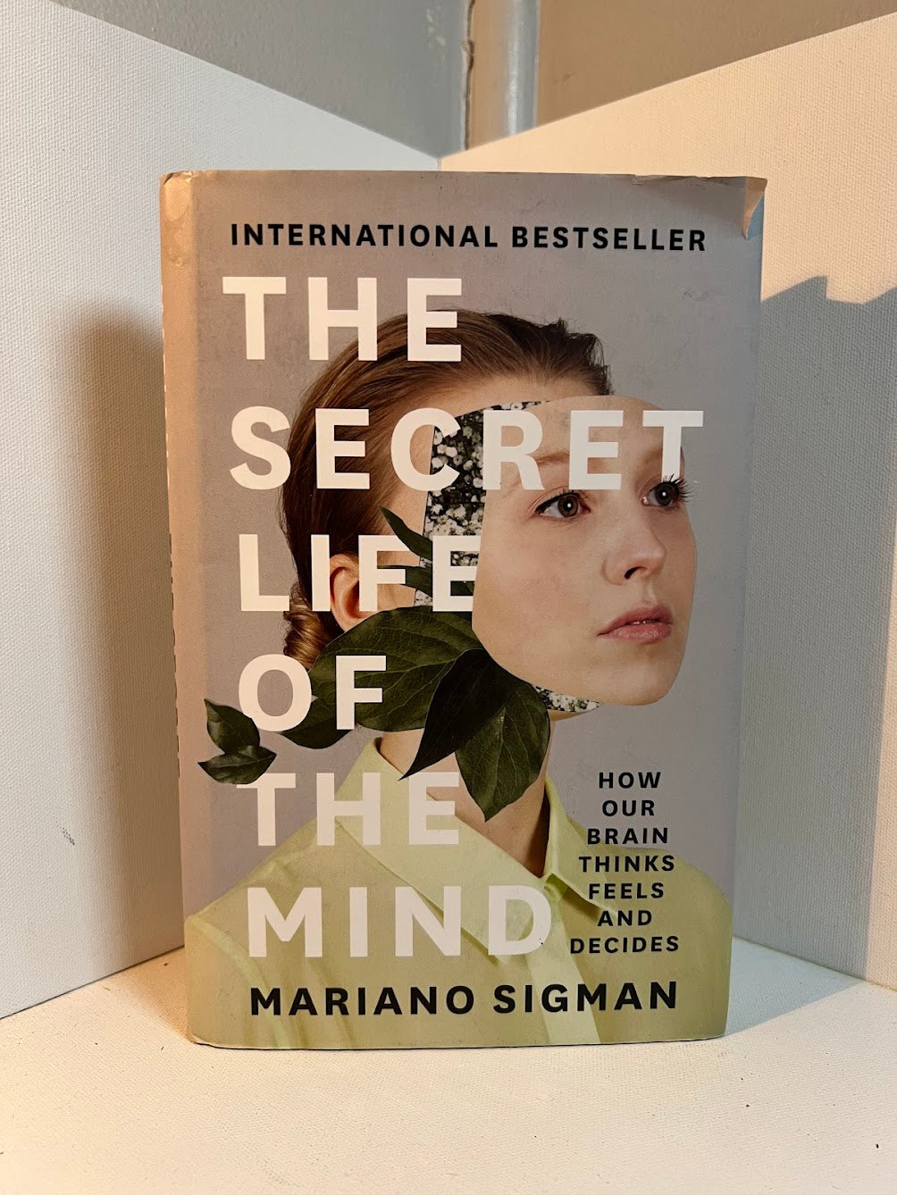 The Secret Life of the Mind by Mariano Sigman