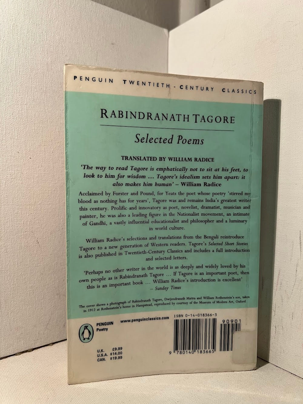 Selected Poems by Rabindranath Tagore
