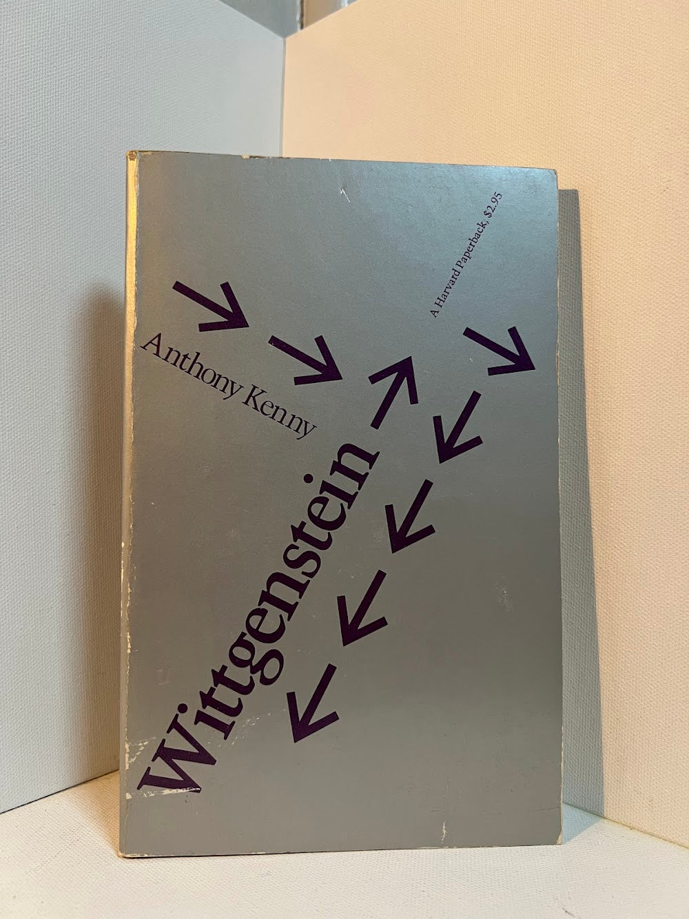 Wittgenstein by Anthony Kenny