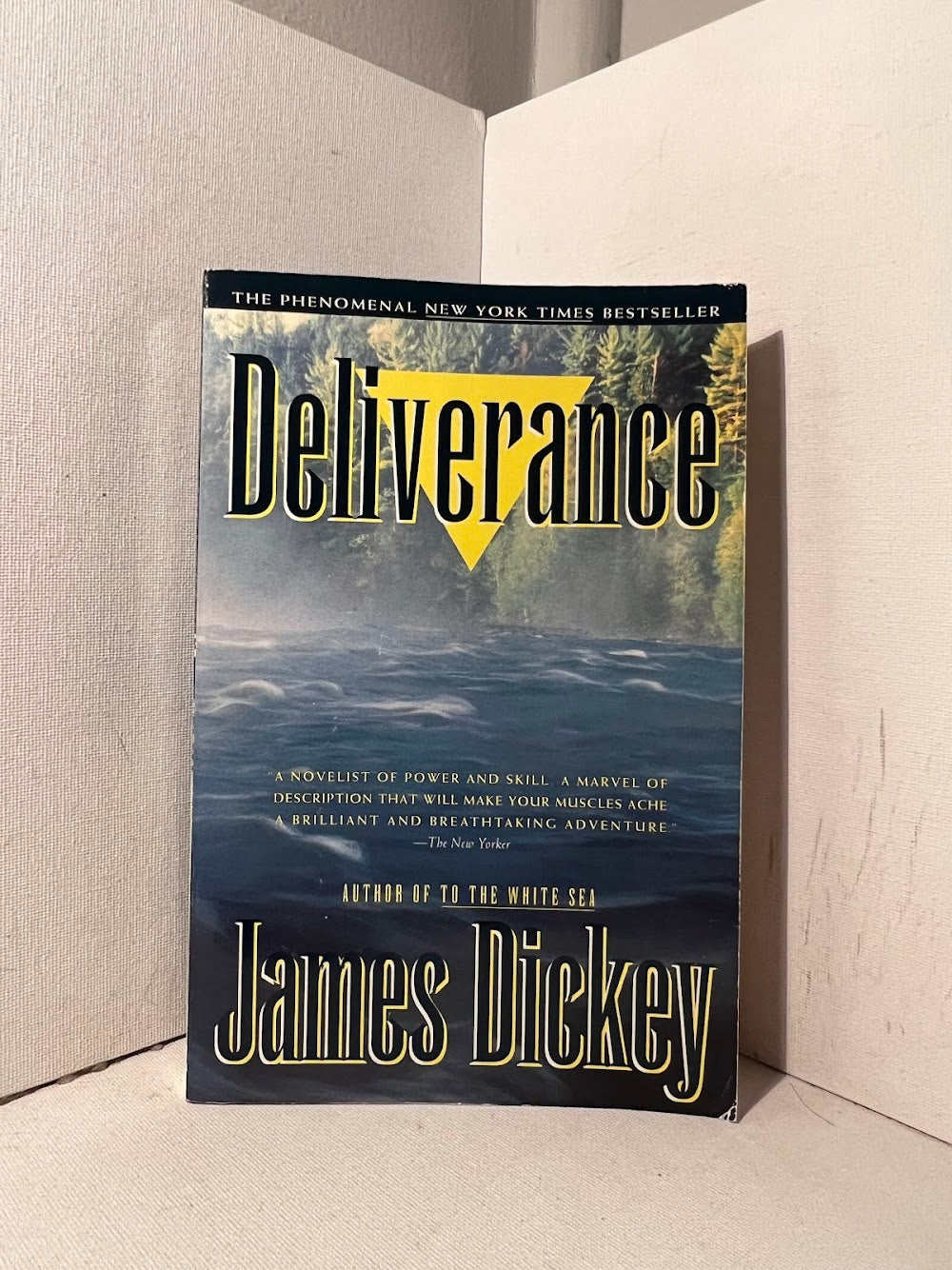 Deliverance by James Dickey