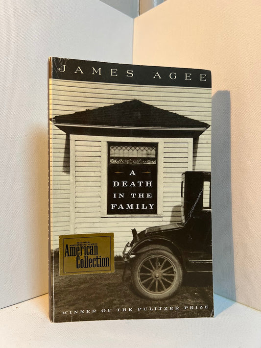 A Death in the Family by James Agee