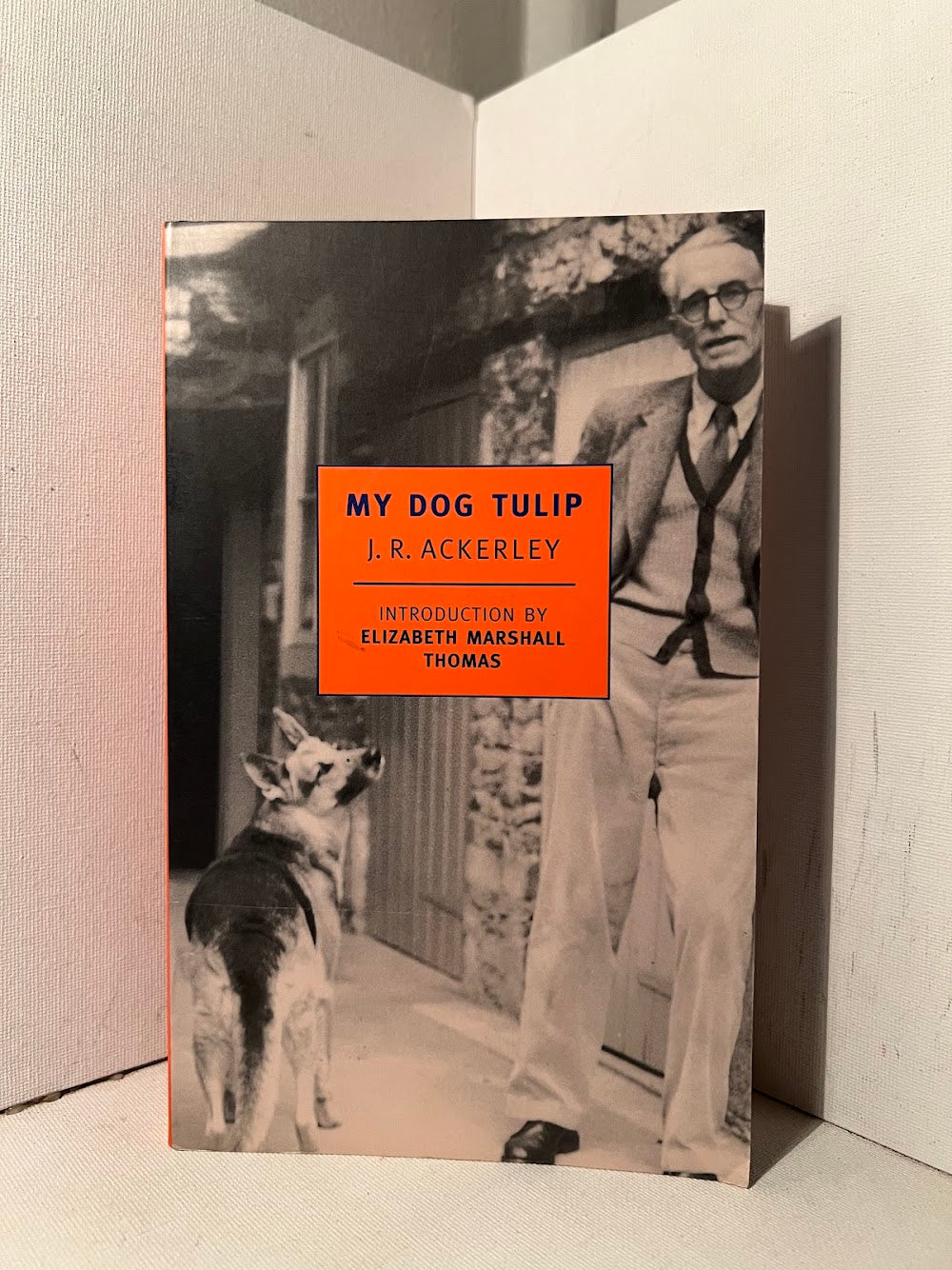My Dog Tulip by J.R. Ackerley