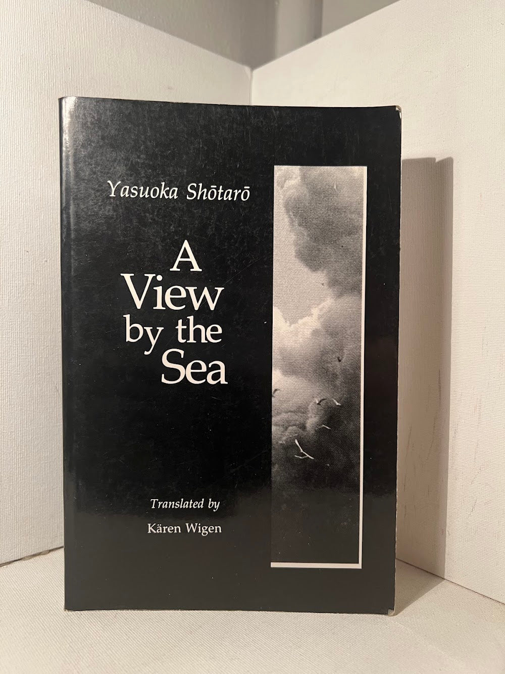 A View by the Sea by Yasuoka Shotaro