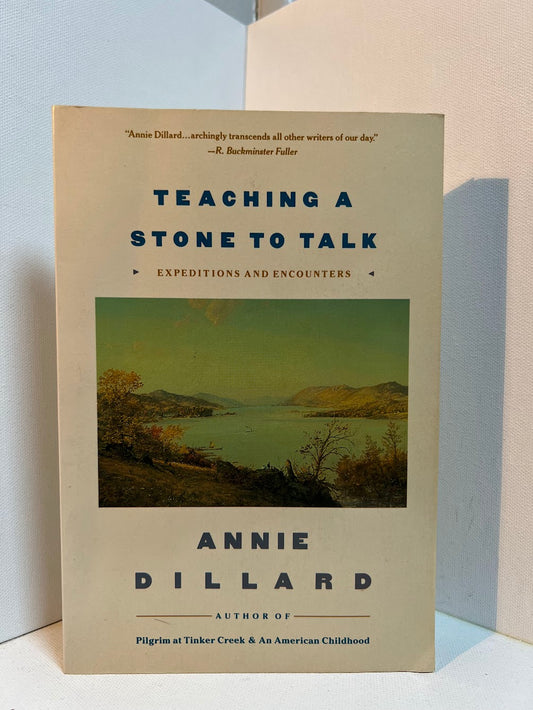 Teaching A Stone To Talk by Annie Dillard