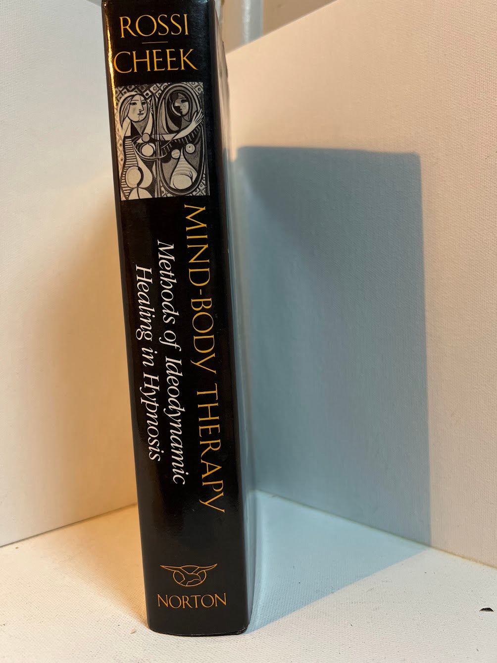 Mind-Body Therapy - Methods of Ideodynamic Healing in Hypnosis by Ernest L. Rossi & David B. Cheek