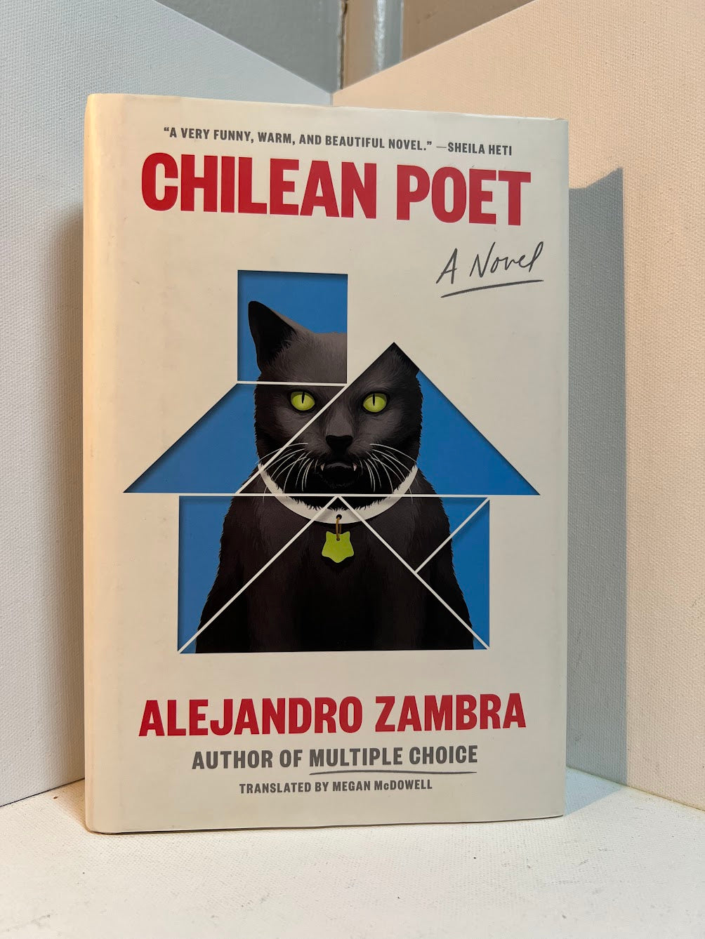 Chilean Poet by Alejandro Zambra