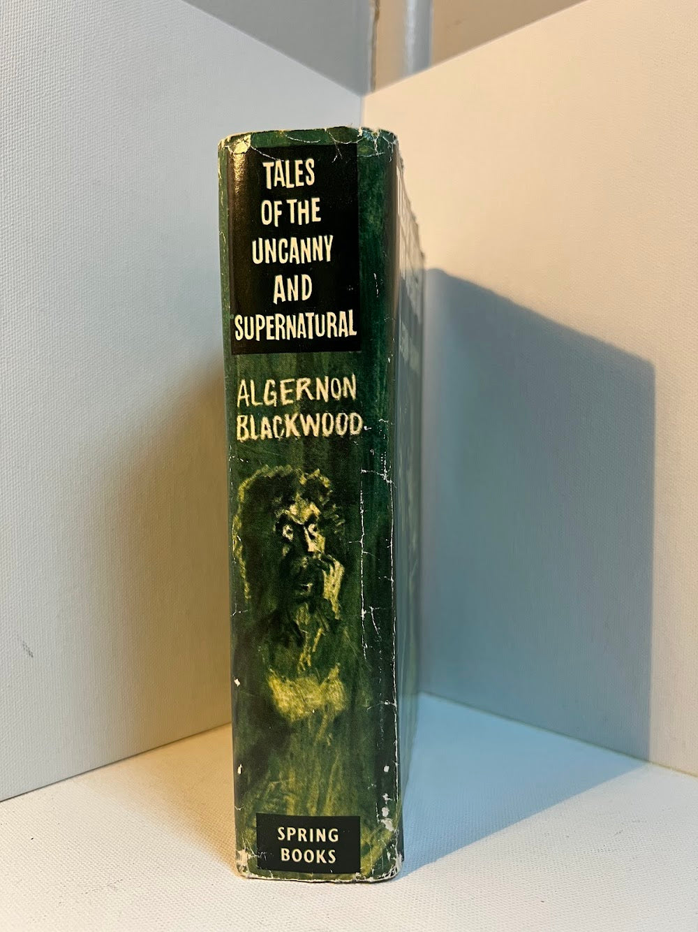 Tales of the Uncanny and Supernatural by Algernon Blackwood