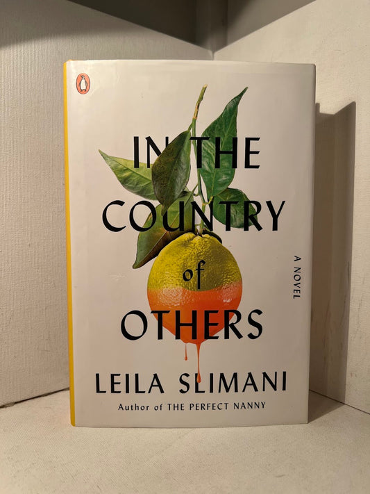 In the Country of Others by Leila Slimani