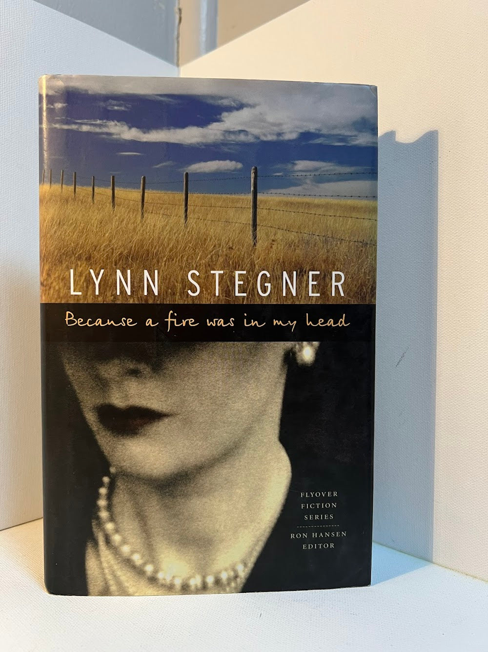 Because A Fire Was In My Head by Lynn Stegner