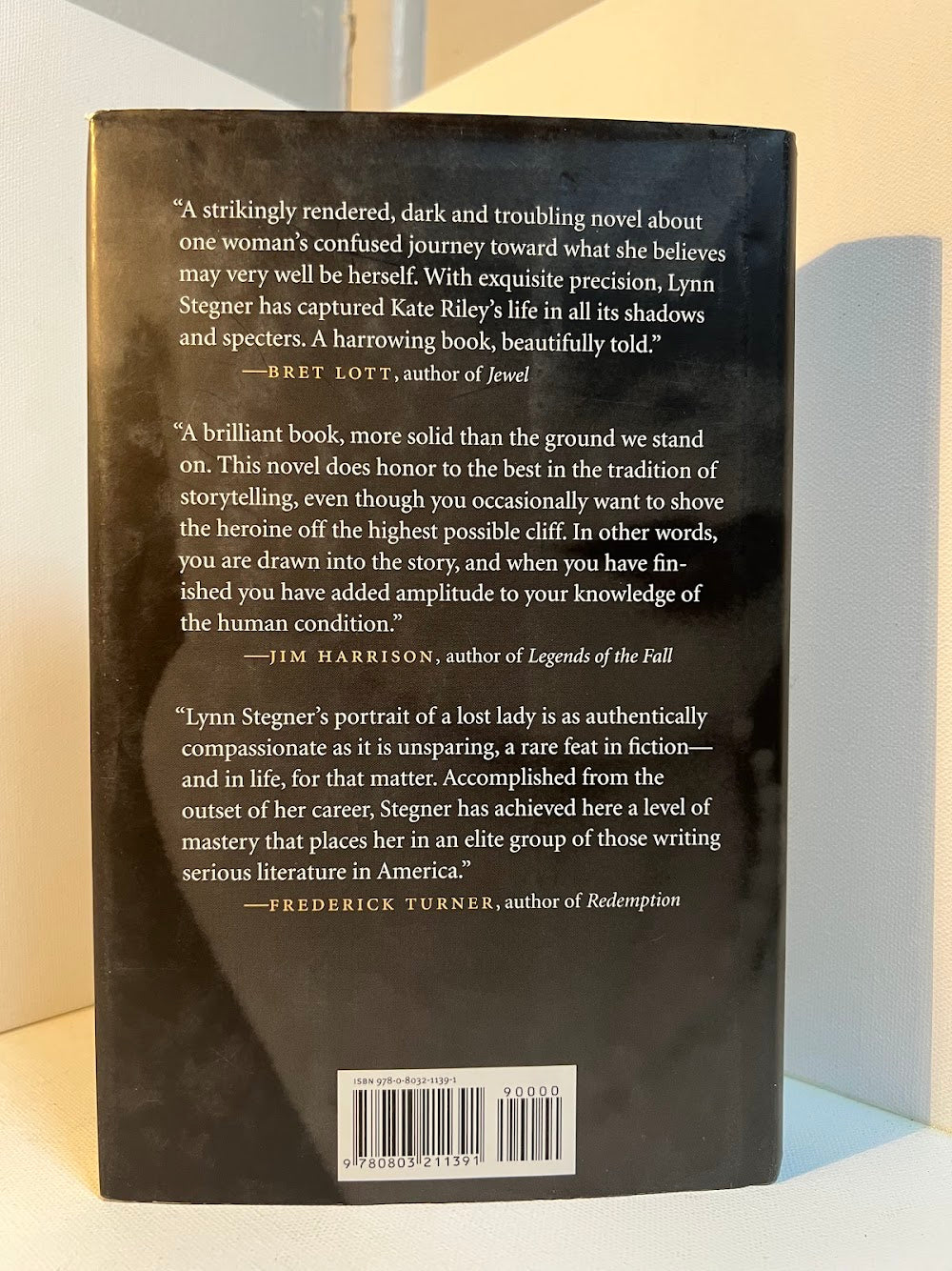 Because A Fire Was In My Head by Lynn Stegner