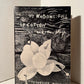 27 Wagons Full of Cotton and Other Plays by Tennessee Williams