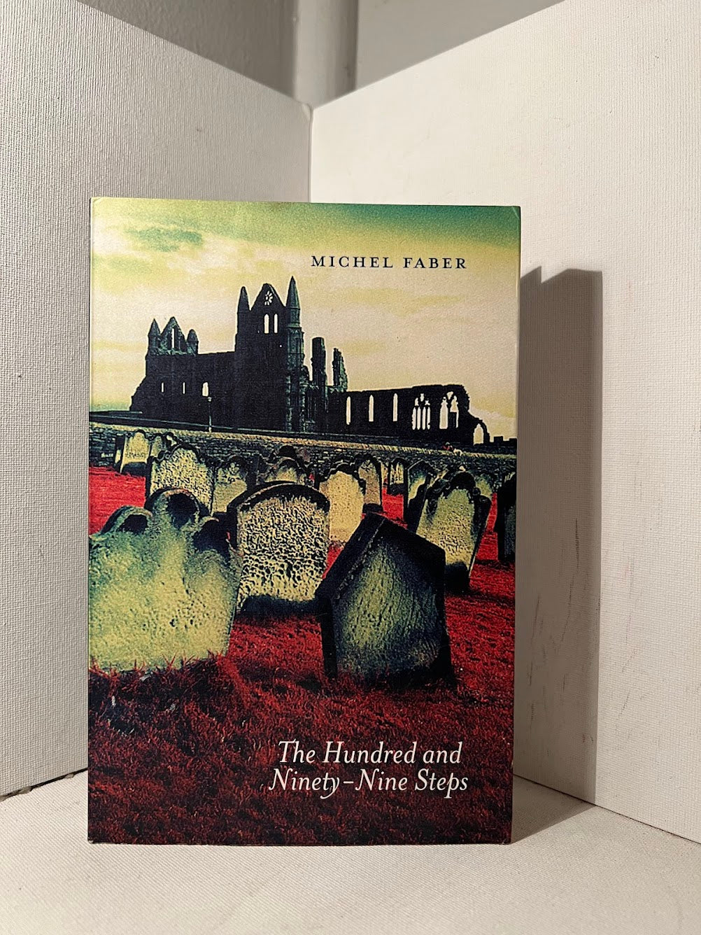 The Hundred and Ninety-Nine Steps by Michel Faber