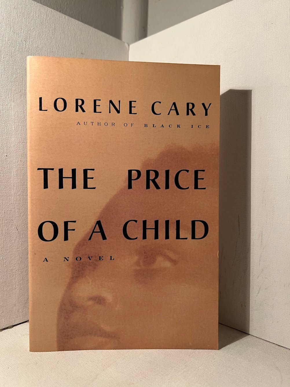 The Price of a Child by Lorene Cary