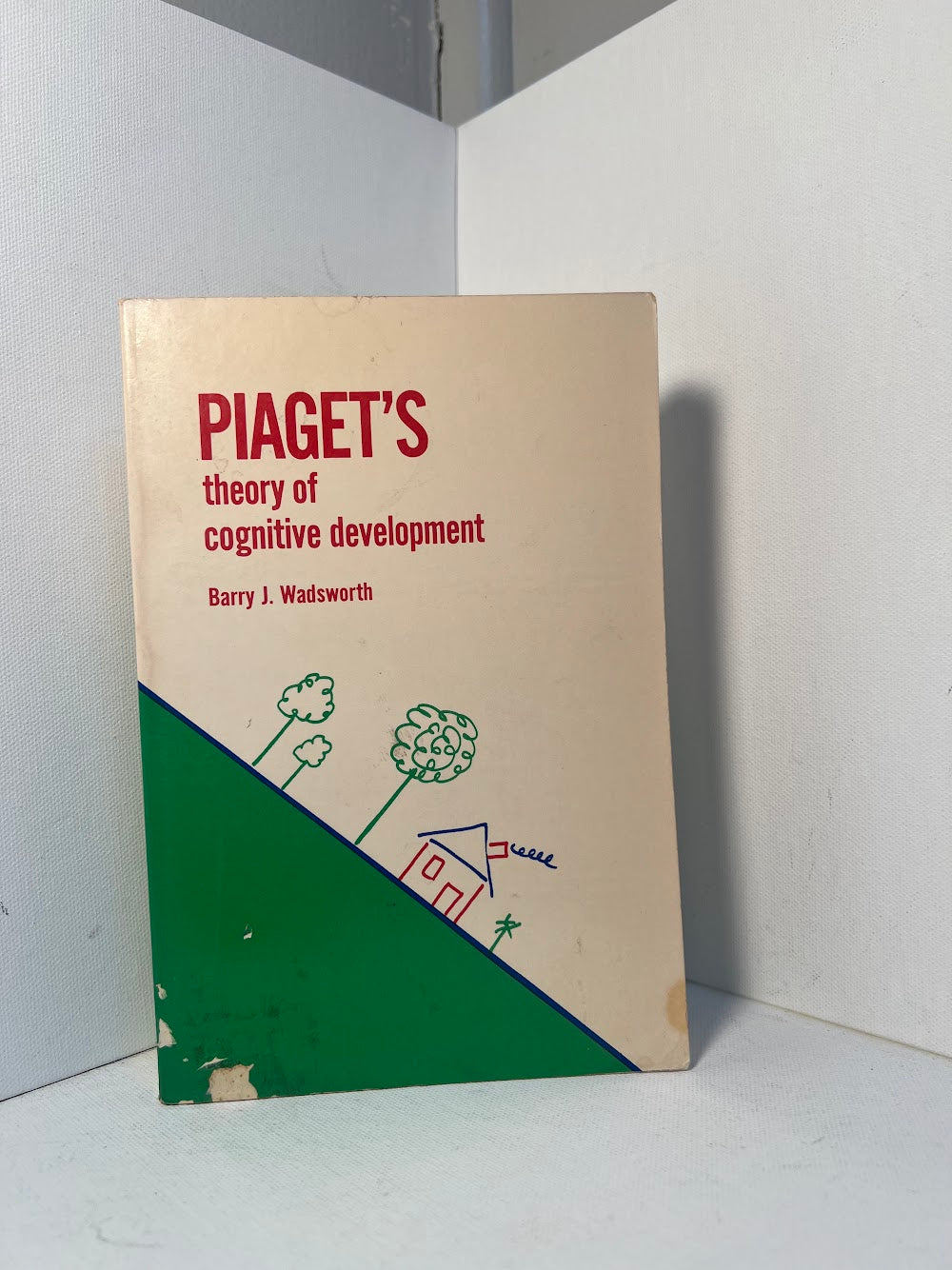 2 books on Piaget