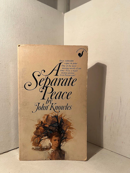 A Separate Peace by John Knowles