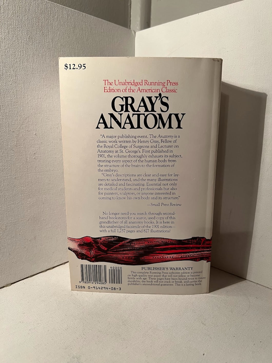 Gray's Anatomy