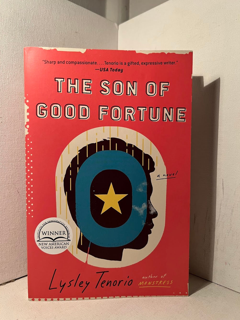 The Son of Good Fortune by Lysley Tenorio