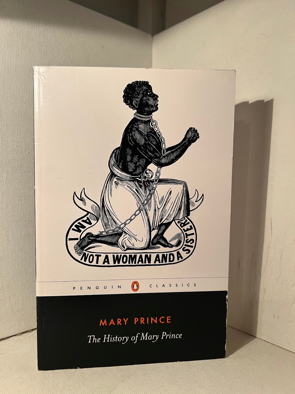 The History of Mary Prince by Mary Prince