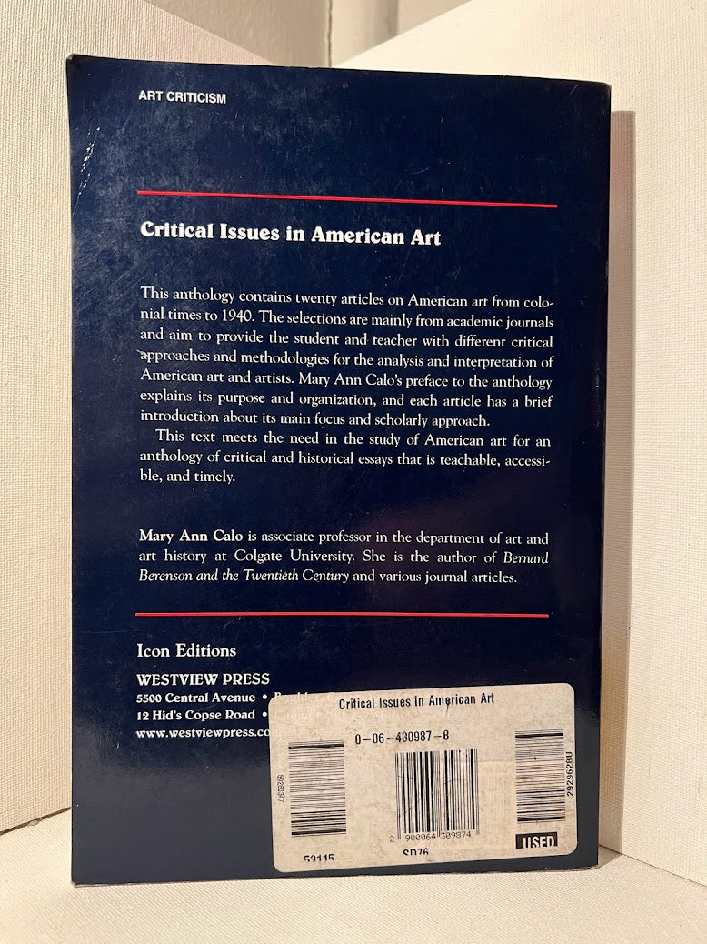 Critical Issues in American Art edited by Mary Ann Calo