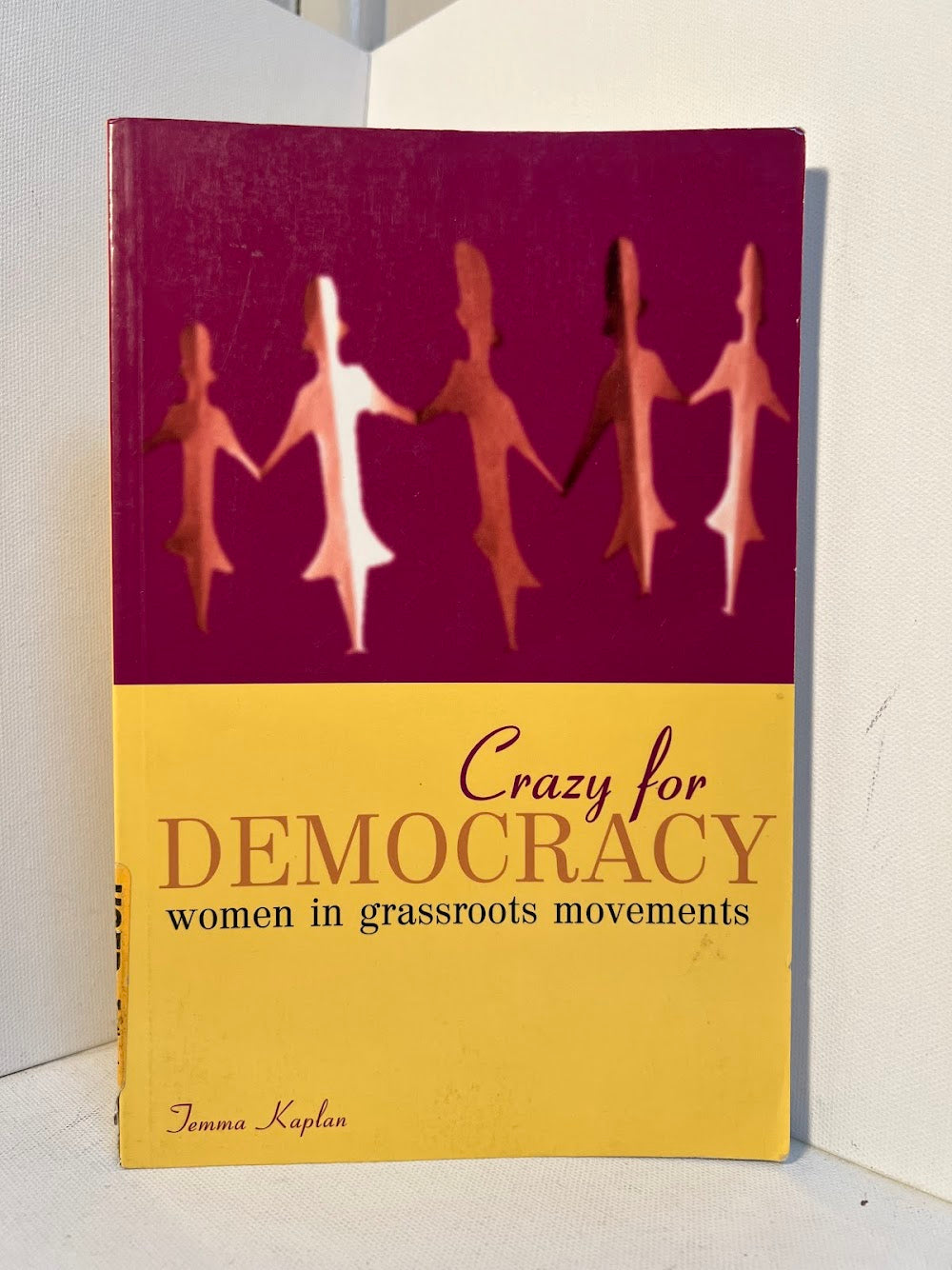 Crazy for Democracy - Women in Grassroots Movements by Jemma Kaplan