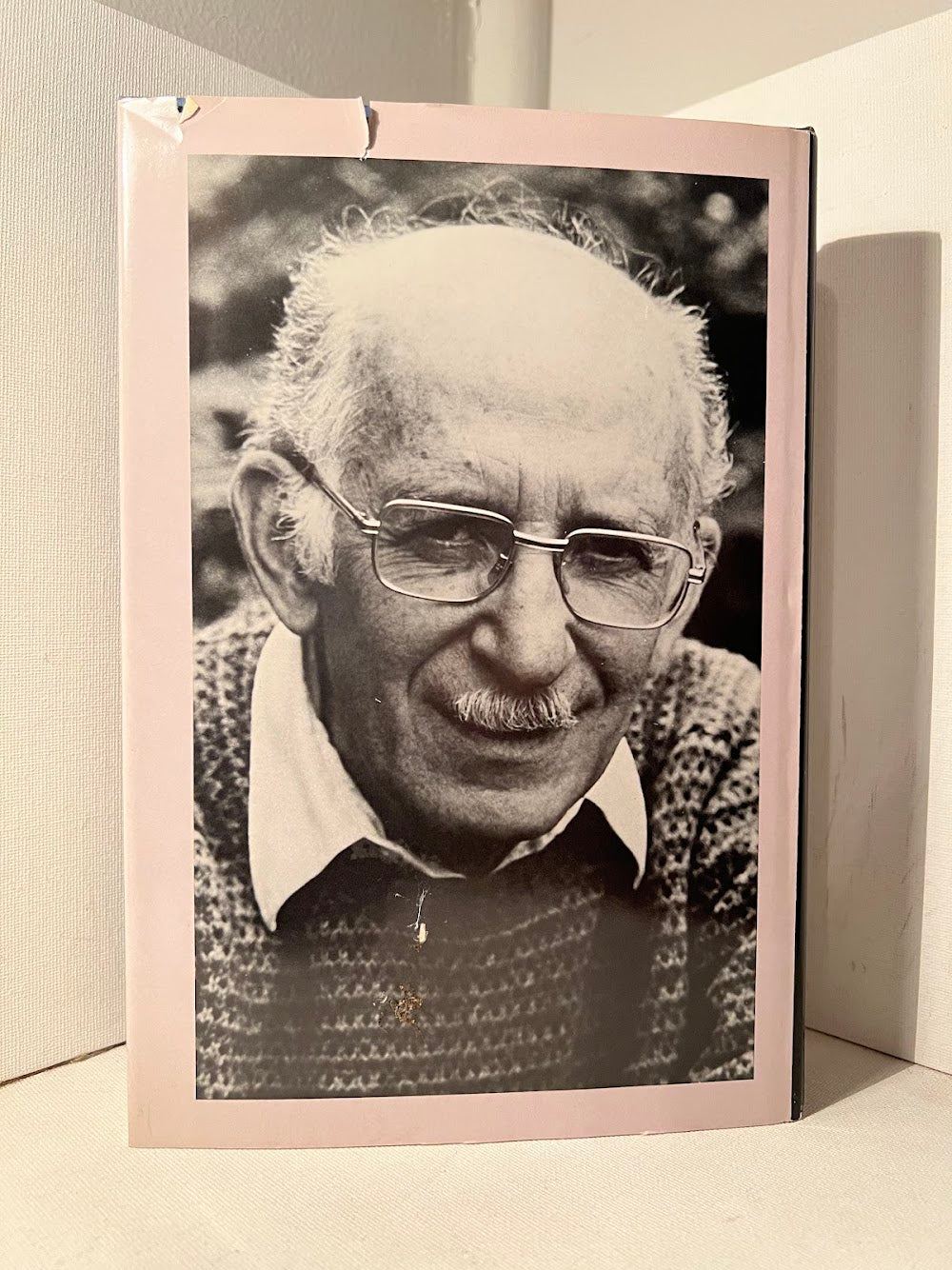 The Stories of Bernard Malamud