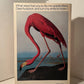 The Flamingo's Smile by Stephen Jay Gould