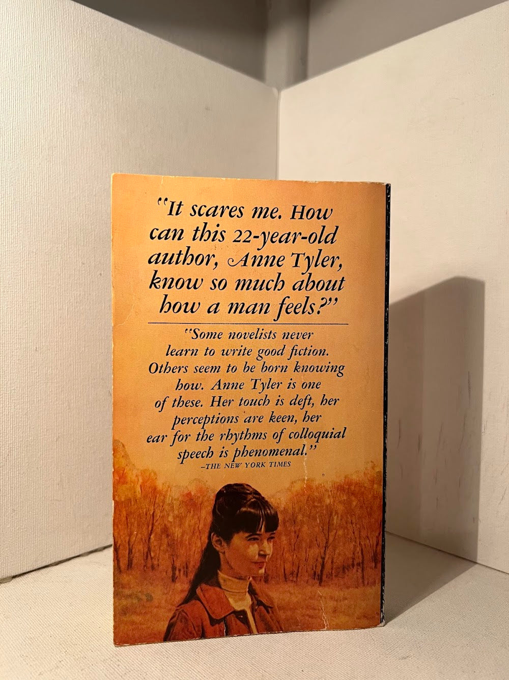 If Morning Ever Comes by Anne Tyler