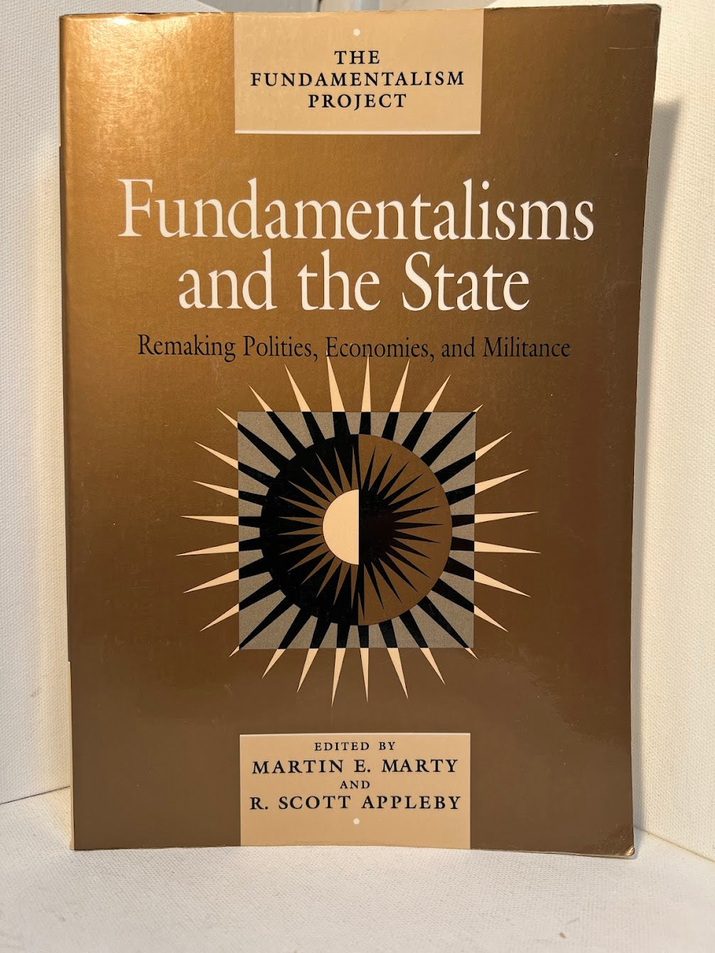 Fundamentalisms and the State edited by Martin E. Marty and R. Scott Appleby