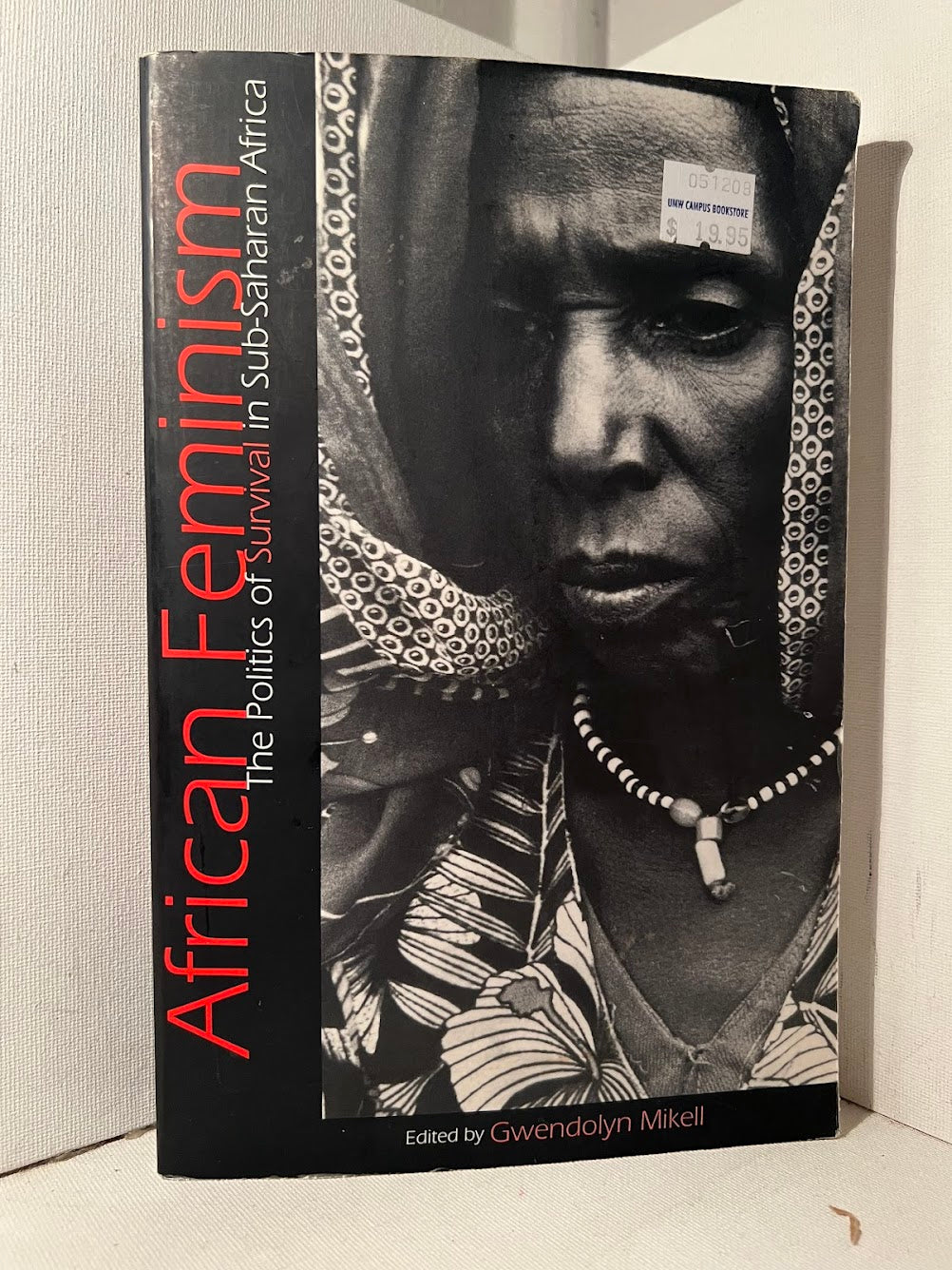 African Feminism: The Politics of Survival in Sub-Saharan Africa edited by Gwendolyn Mikell