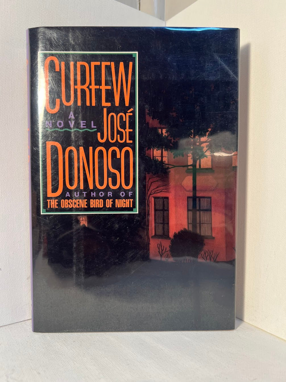 Curfew by Jose Donoso