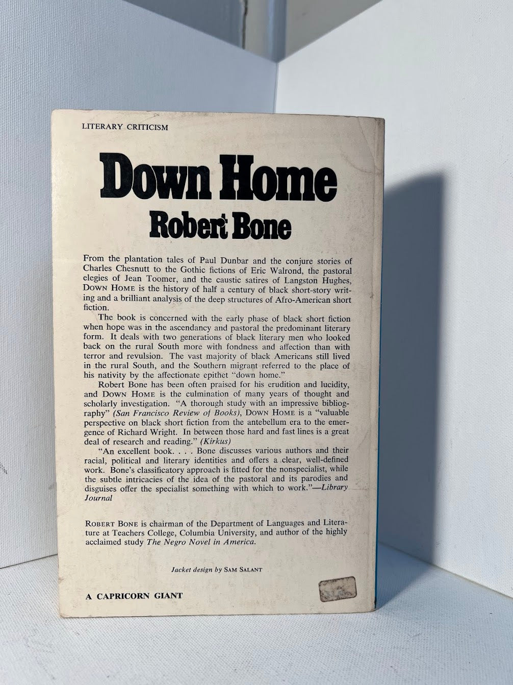 Down Home - A History of Afro-American Short Fiction by Robert Bone