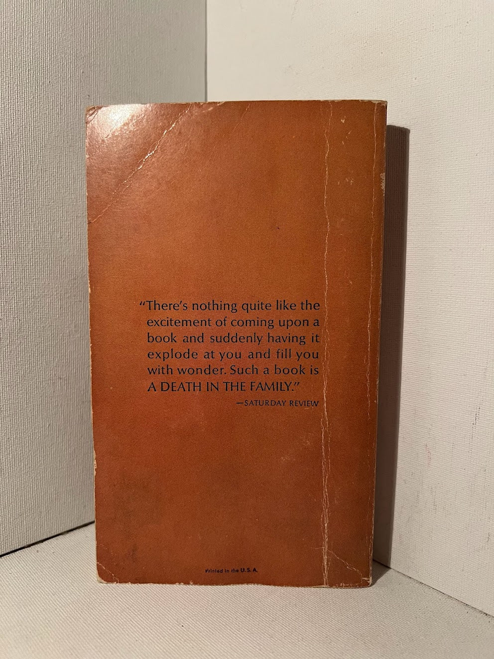 A Death in the Family by James Agee