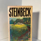 East of Eden by John Steinbeck