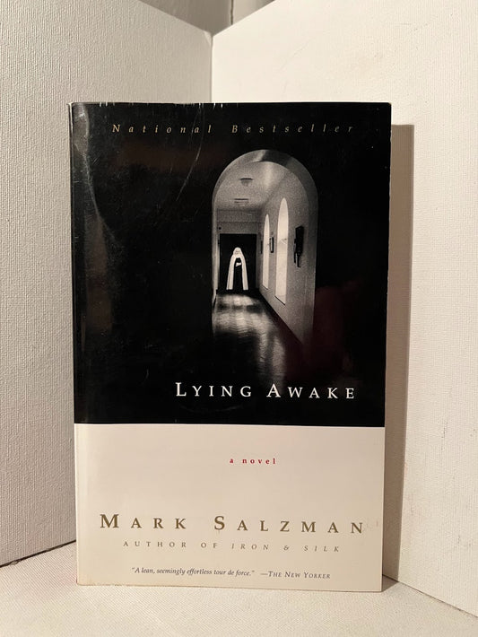 Lying Awake by Mark Salzman