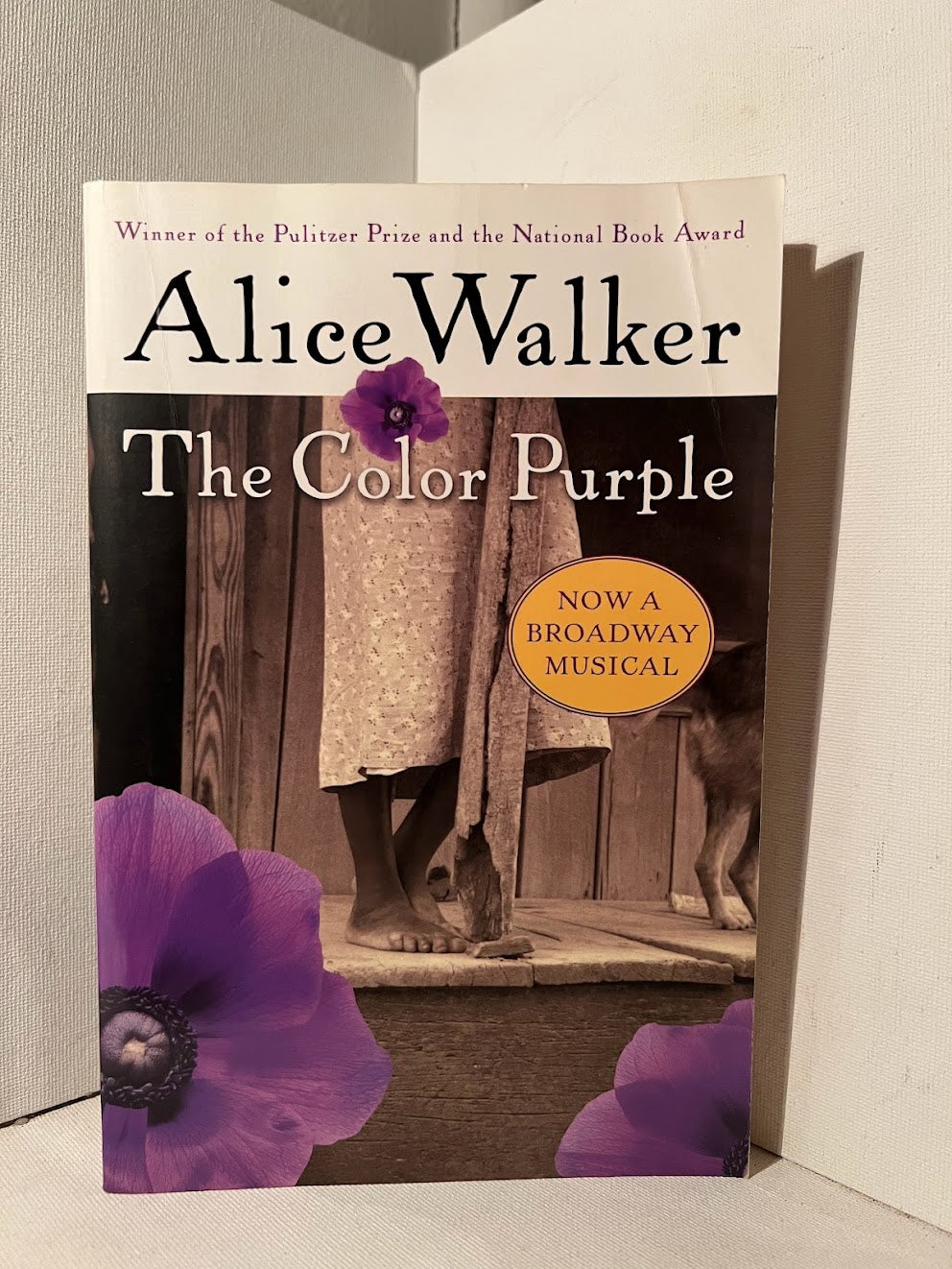 The Color Purple by Alice Walker