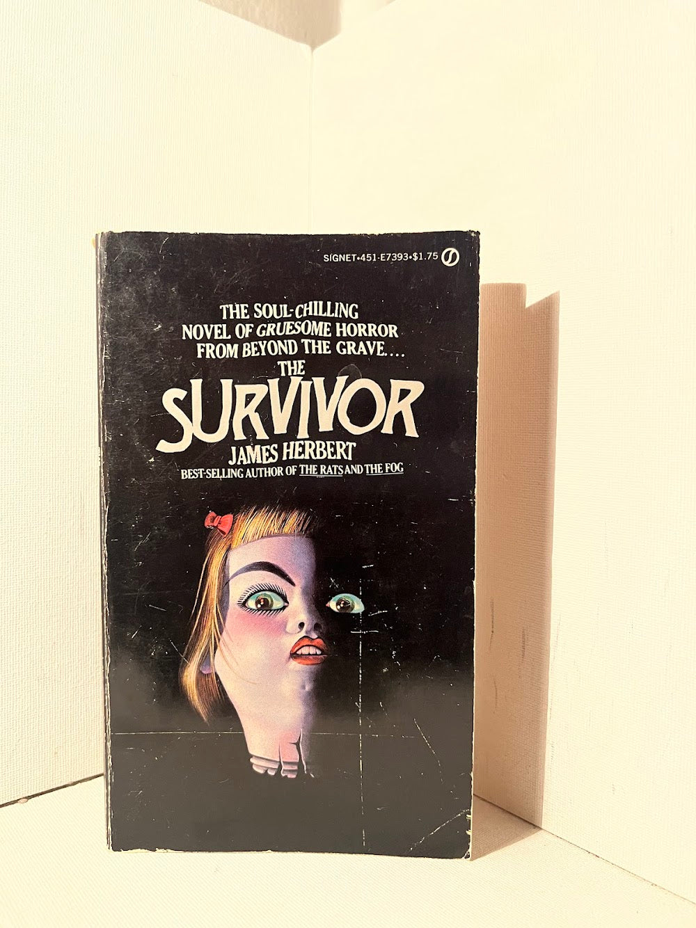 The Survivor by James Herbert