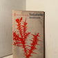 Selected Poems by Yevtushenko