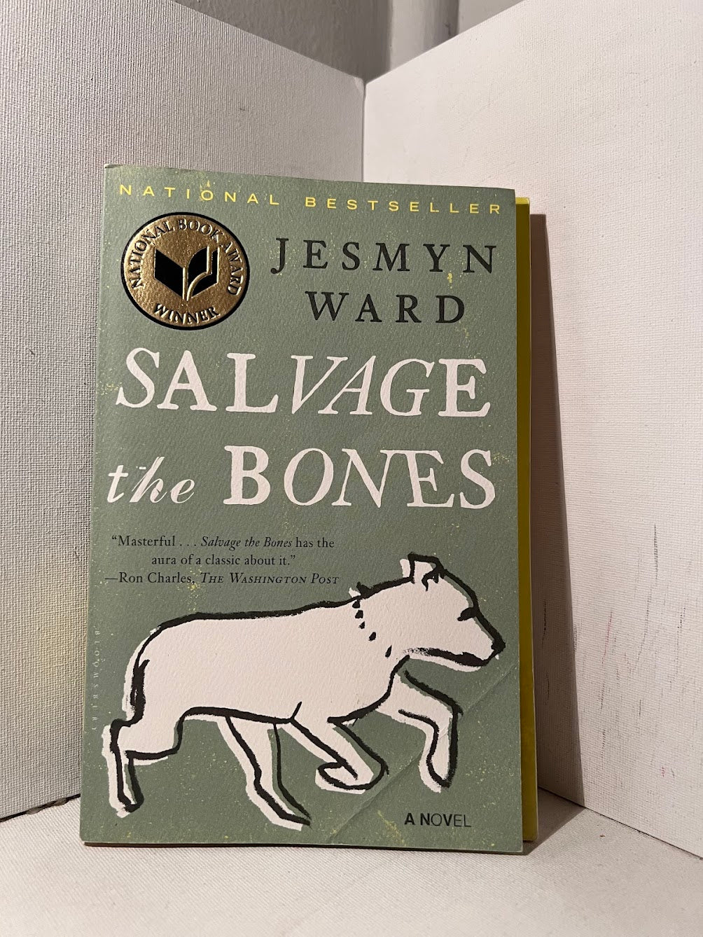 Salvage the Bones by Jesmyn Ward