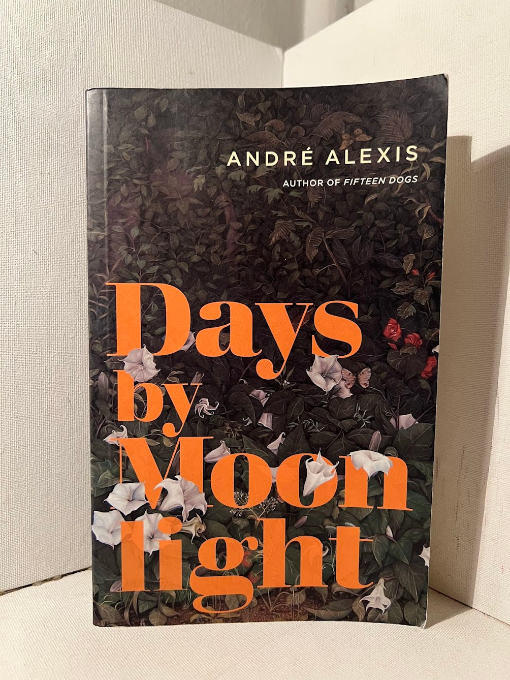 Days by Moonlight by Andre Alexis
