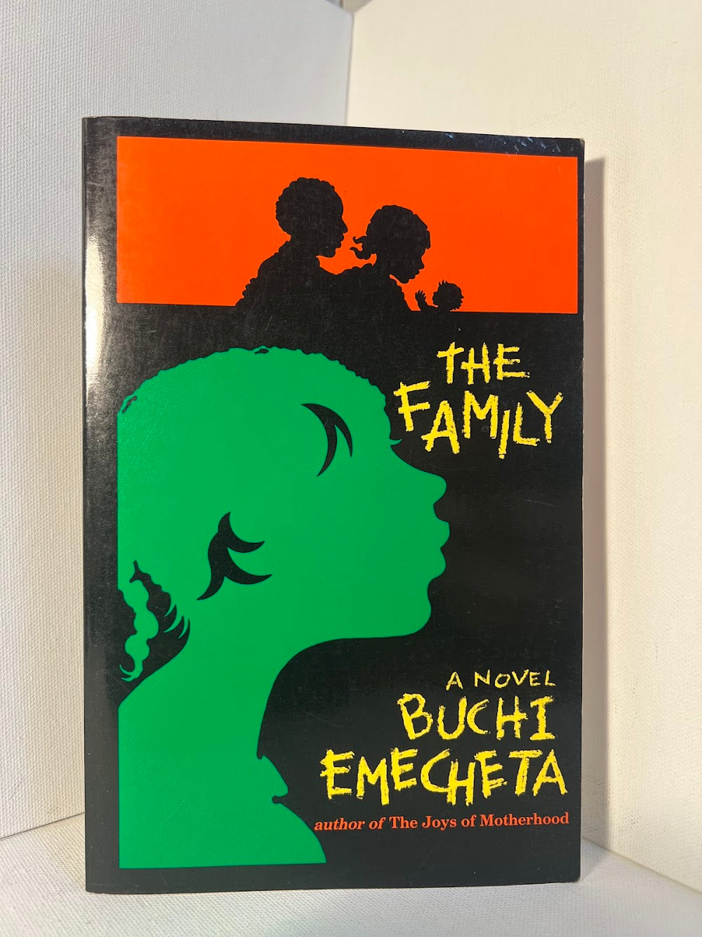 The Family by Buchi Emecheta