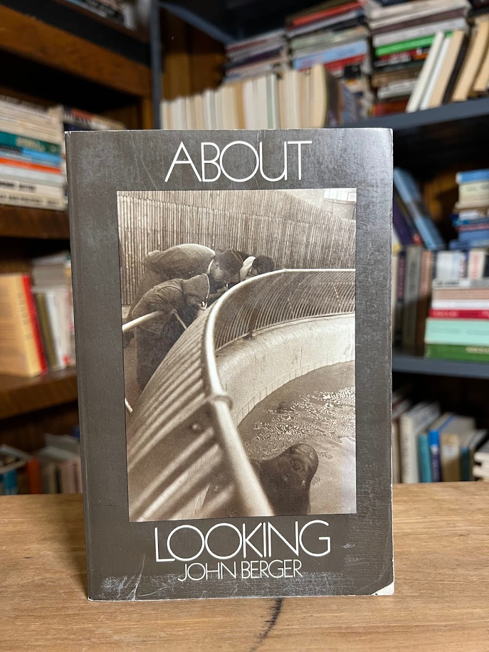 About Looking by John Berger