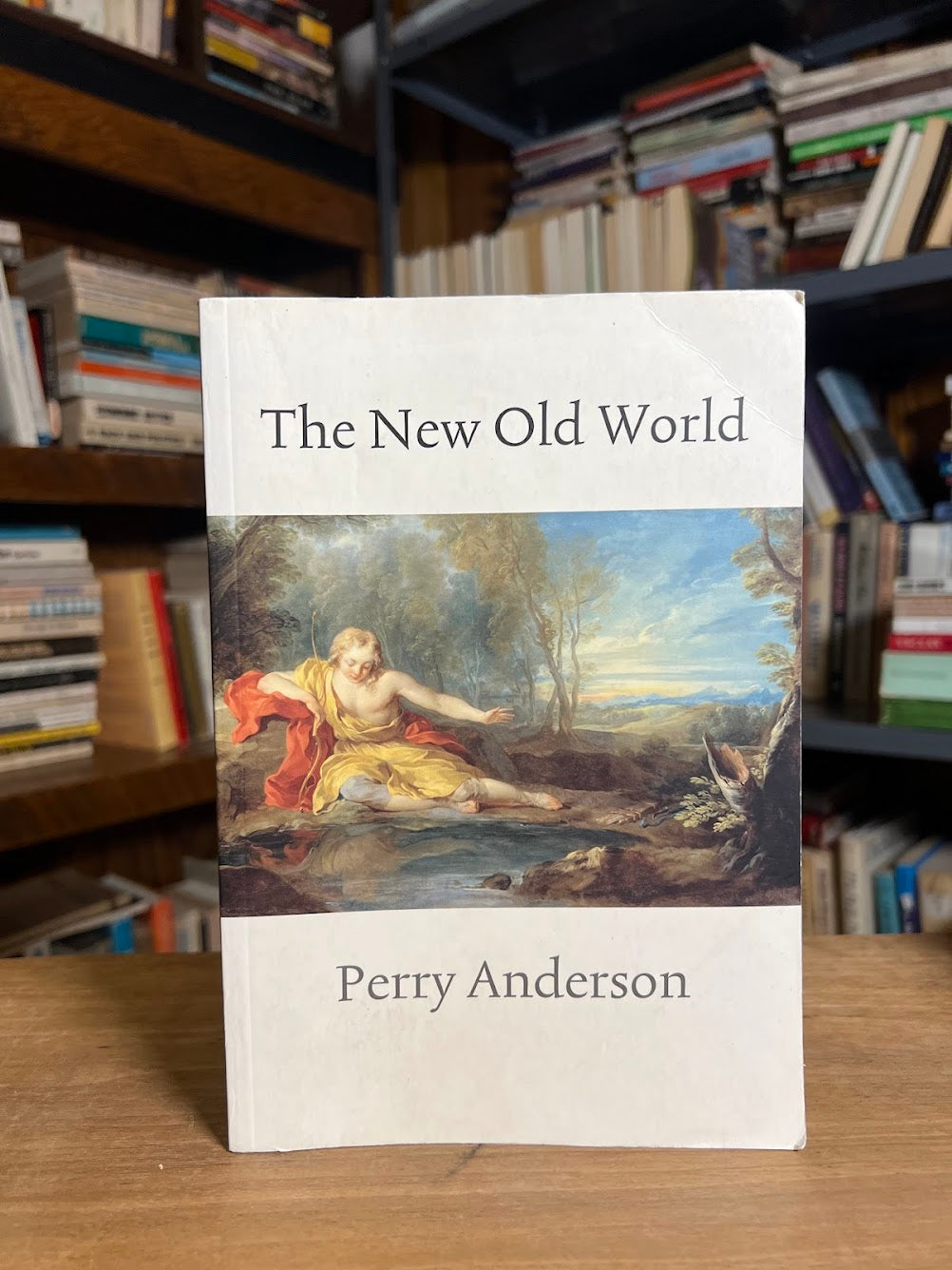 The New Old World by Perry Anderson