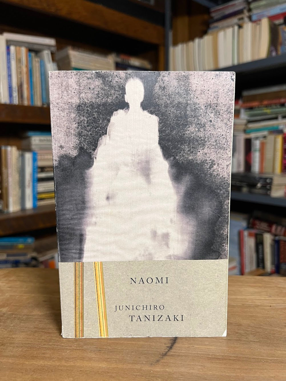 Naomi by Junichiro Tanizaki