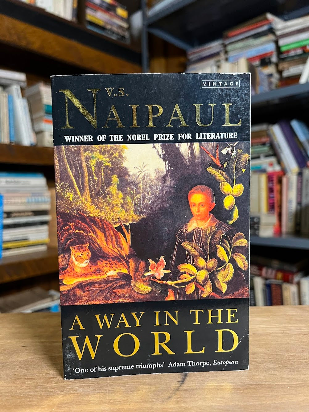 A Way in the World by V.S. Naipaul