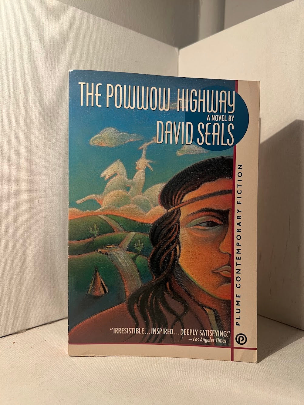 The Powwow Highway by David Seals