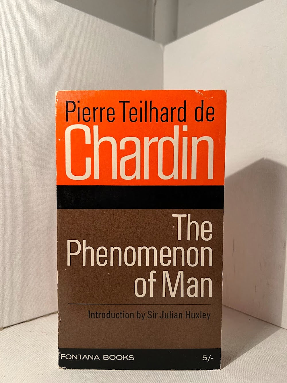 The Phenomenon of Man by Pierre Teilhard de Chardin