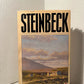 Tortilla Flat by John Steinbeck