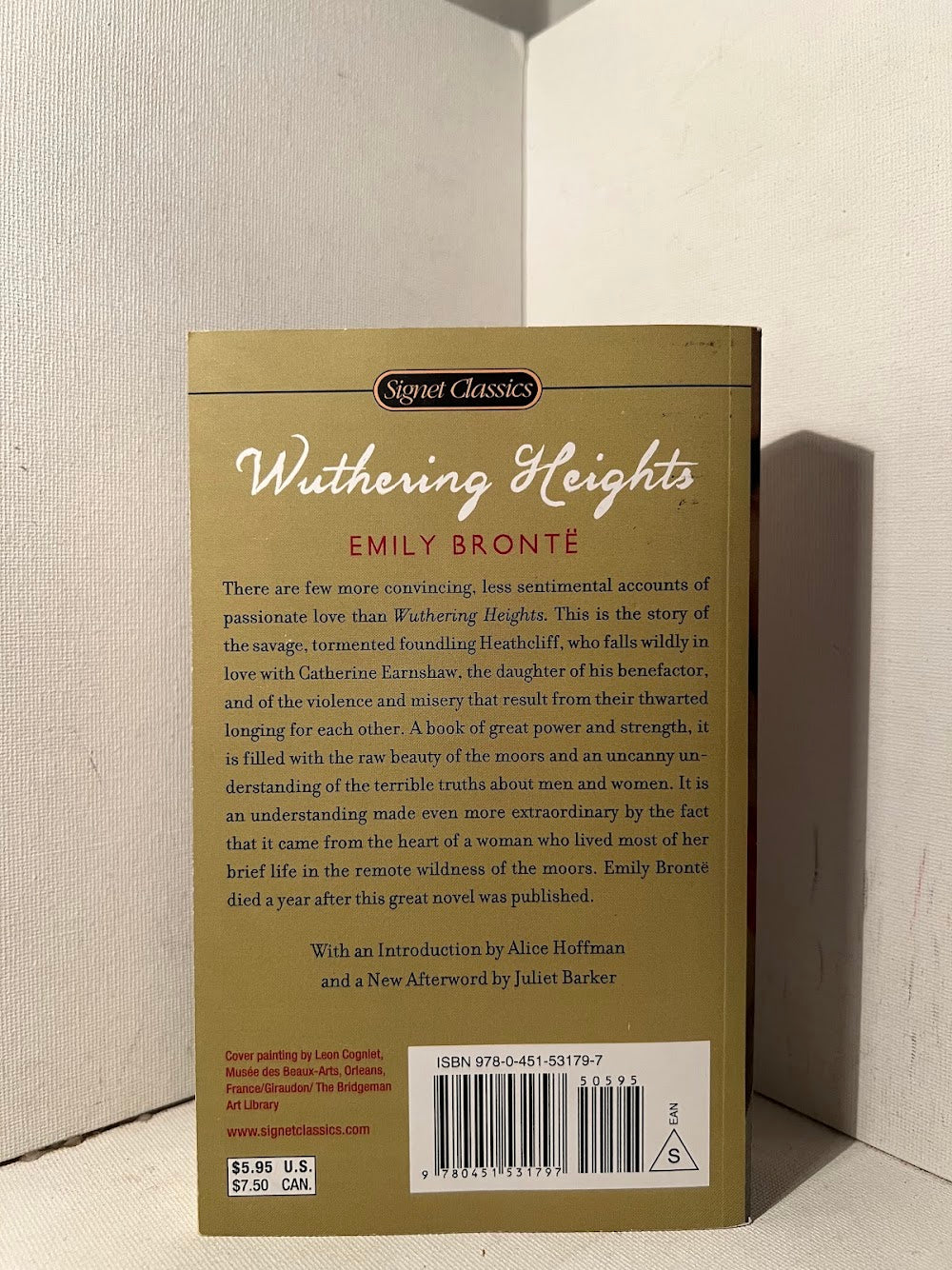 Wuthering Heights by Emily Bronte