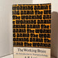 The Working Brain: An Introduction to Neuropsychology by A.R. Luria